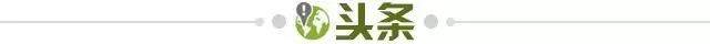 1745969598735039976.jpg 头条.jpg
